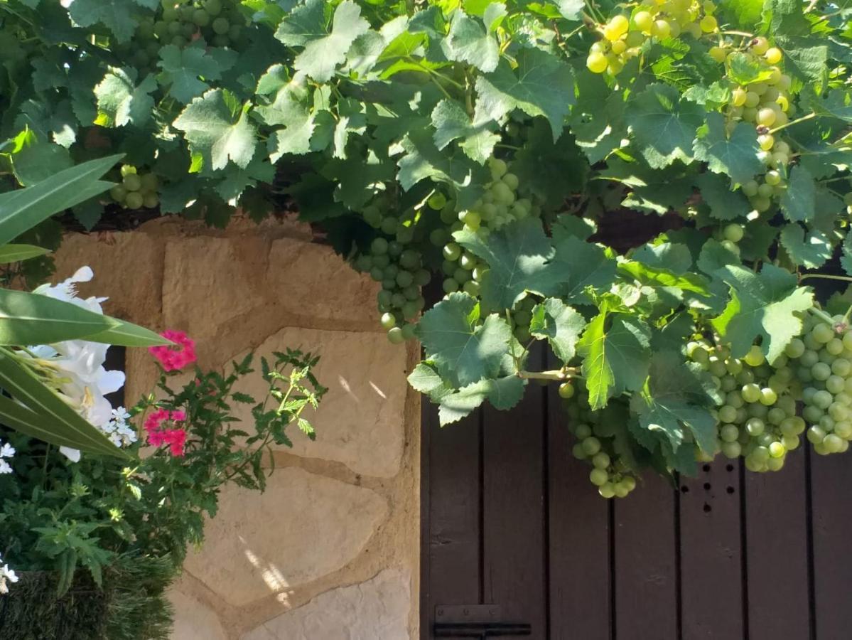 Lou Bagnou Mi-Clos Bagnols-sur-Cèze Εξωτερικό φωτογραφία