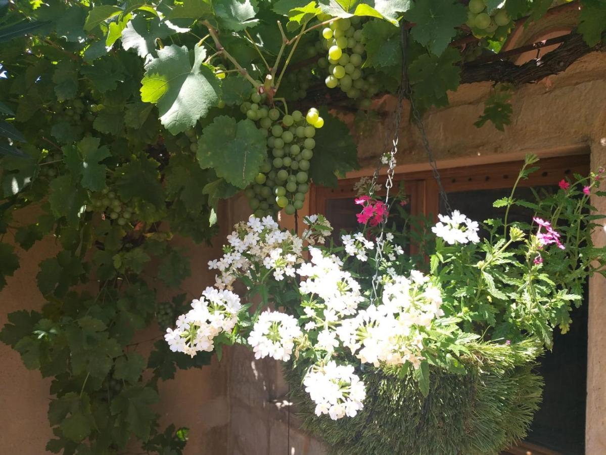 Lou Bagnou Mi-Clos Bagnols-sur-Cèze Εξωτερικό φωτογραφία